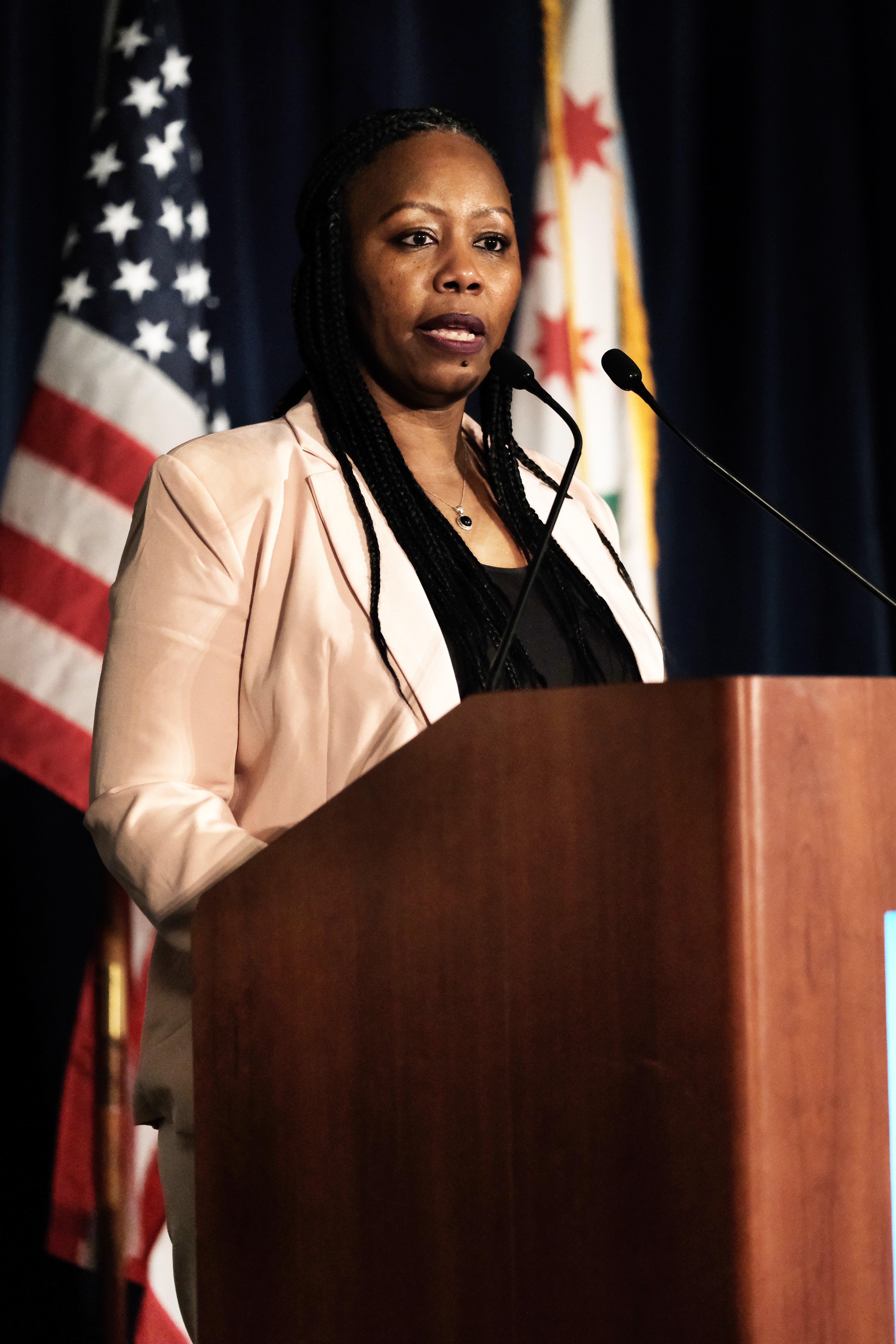 Cook County Chief of Staff Lanetta Haynes Turner